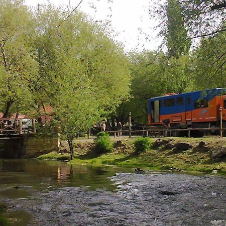 אל קלפטה Camping Y Hostal El Ovejero מראה חיצוני תמונה